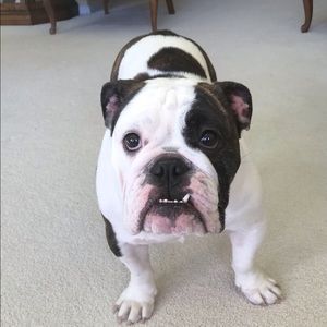 Meet your Posher, Mary